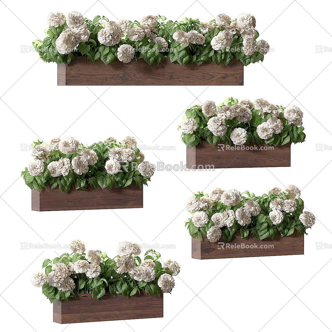 Hydrangea planted in pots for decorative facade 3d model