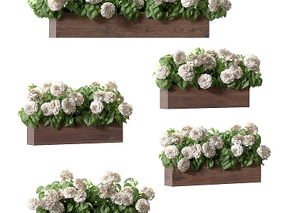 Hydrangea planted in pots for decorative facade 3d model