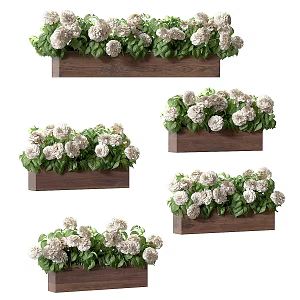 Hydrangea planted in pots for decorative facade 3d model