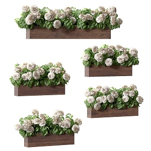 Hydrangea planted in pots for decorative facade 3d model