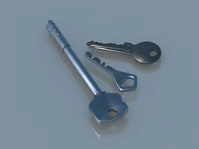 Pet Cabinet Locking Keys Set Three Silver Metal For Secure Storage 3d model