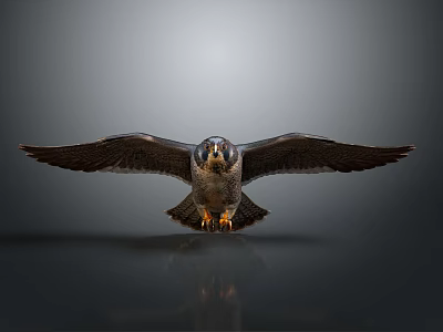 Majestic Falcon With Spread Wings Sharp Eyes Talons And Reflection On Dark Background 3d model