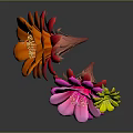 Beautiful Blooming Vibrant Cactus Flowers with Orange Pink and Yellow Petals