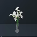 White Calla Lilies Arrangement In Transparent Glass Vase On Dark Surface