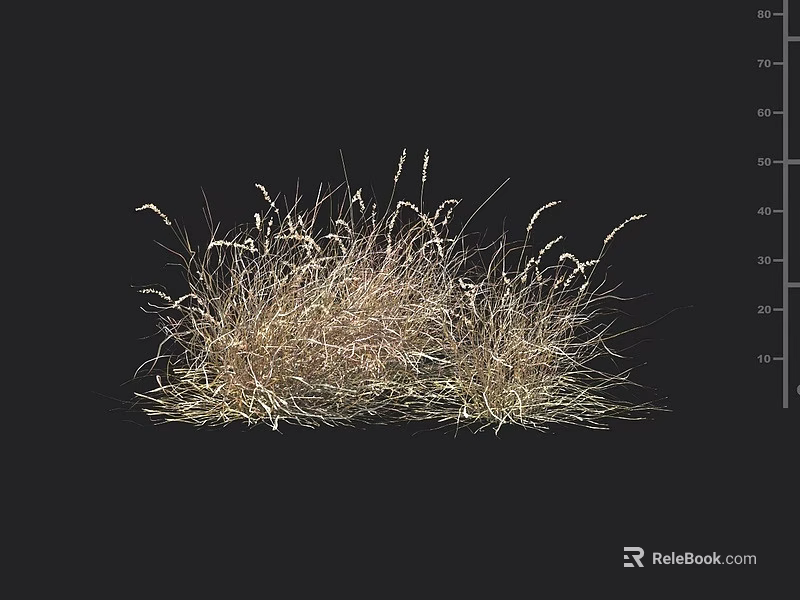 Ornamental Grass Clump With Light Brown Green Foliage And 60 cm Height 3d model 