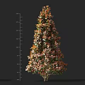Tall Shrub With Orange Red And Green Leaves Upright Shape Measured Height