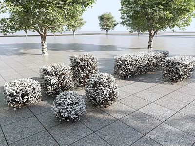 Trimmed Bushes Planted On Paved Ground With Trees In Open Outdoor Space 3d model