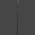 Ancient Magical Weapon With Twisted Wooden Texture And Flaming Top Design