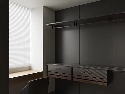 Modern Closet Interior With Dark Cabinets Drawers And Hanging Rods 3d model