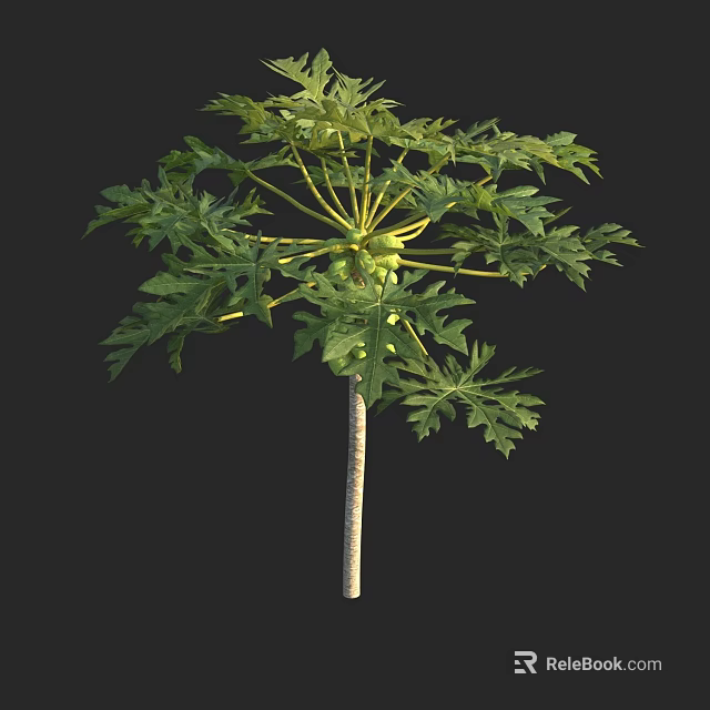 Lush Green Arbor with Dense Foliage and Slender Trunk in Natural Setting 3d model 