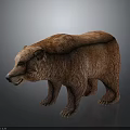 Realistic Brown Bear Model With Detailed Fluffy Fur And Standing Posture 3d model