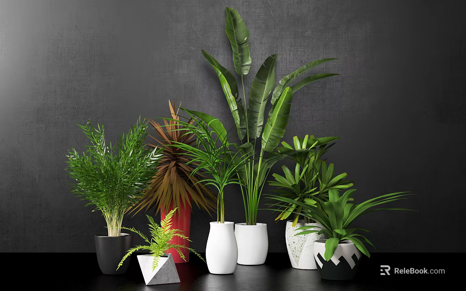 Various Green Leaf Potted Plants With Stylish White Black And Geometric Pots For Indoor Decor 3d model 