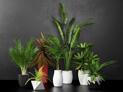Various Green Leaf Potted Plants With Stylish White Black And Geometric Pots For Indoor Decor 3d model
