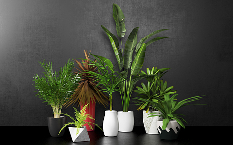 modern potted plant indoor potted plant 3d model