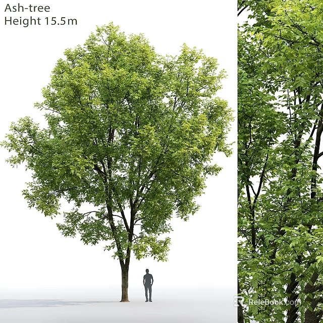 Decorative Tree Ornaments Set With Green Branches And Leaves For Home 3d model 