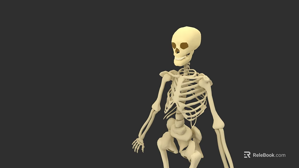 3D Skeleton Character Model for Animated Game and Movie Roles 3d model 