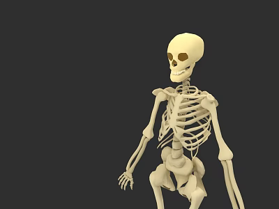 3D Skeleton Character Model for Animated Game and Movie Roles 3d model