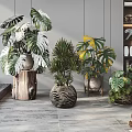 Potted Green Plants With Large Leaves In Wooden Stump And Woven Pots Modern Indoor Space