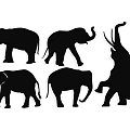 Elephant Silhouette Wall Decor With Six Different Poses And Black Design