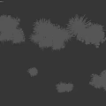 Diverse Green Grasses With White Flower Spikes And Various Heights On Black Background