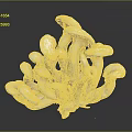 White Mushroom Cluster Sculpture With Multiple Caps And Stems Design 3d model