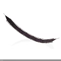 Traditional Purple Water Vehicle With Decorative Patterns And Long Curved Shape