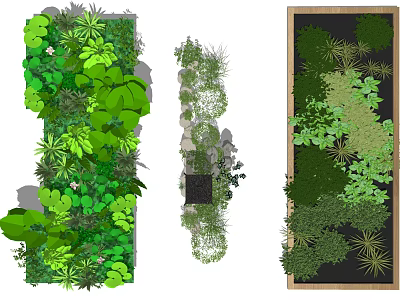 Modern Living Green Wall Design With Lush Plants And Creative Vertical Garden Layout 3d model