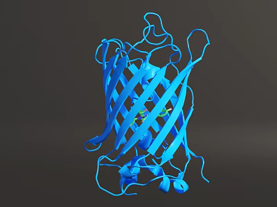 Blue Molecular Structure Model With Intertwined Chains And Green Central Segment 3d model