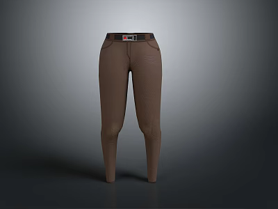 Stylish Brown Slim Fit Pants With Belt And Front Pockets Design For Daily Wear 3d model