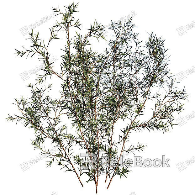 tree landscape tree shrub plant flowers and plants model