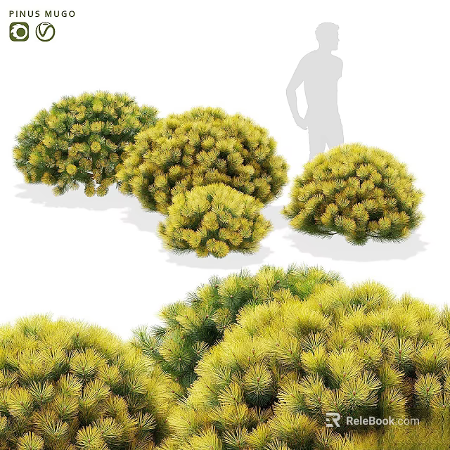 Various Green And Yellow Rounded Bushy Shrubs With Dense Leafy Foliage 3d model 
