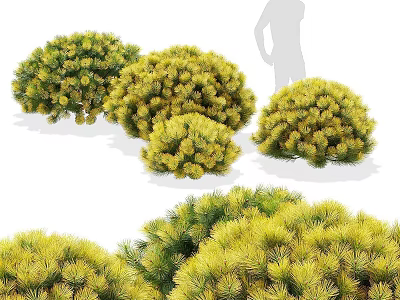 Various Green And Yellow Rounded Bushy Shrubs With Dense Leafy Foliage 3d model