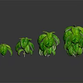 Four Pots of Basil Plants With Lush Green Leaves Arranged on Black Background and Reflections