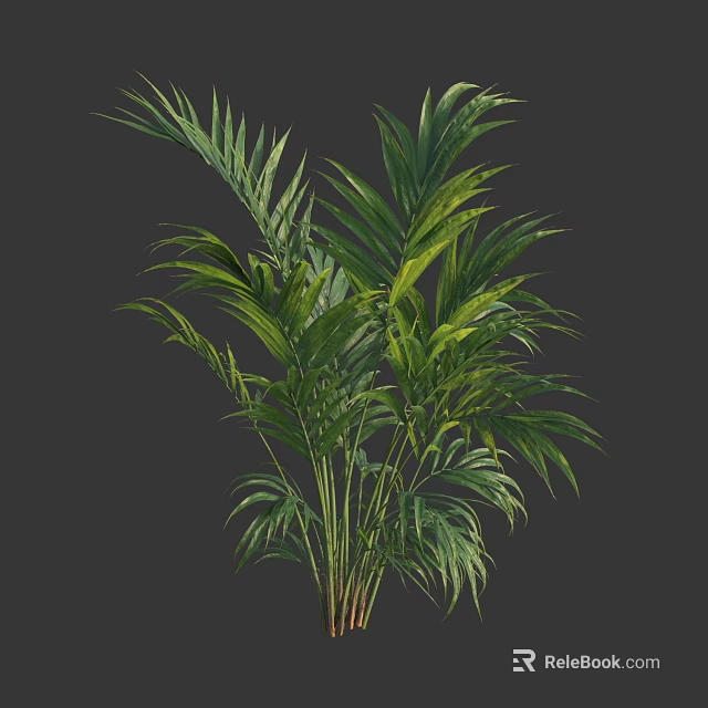Lush Green Shrub With Long Tropical Leaves And Dense Foliage For Garden 3d model 