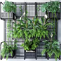 Lush Green Bonsai and Potted Plants With Hanging Foliage on Metal Grid Shelves