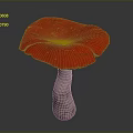 Red Mushroom Plant With Shiny Vibrant Red Cap And Light Colored Stem On Dark Background