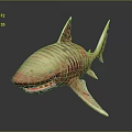 Shark with Yellow and Brown Stripes Open Mouth Red Teeth 3D Model on Black Background