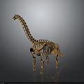 Realistic Dinosaur Skeleton 3D Model Featuring Long Neck Gray Background And Wooden Color