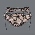 Modern Panties Lace Panties 3d model