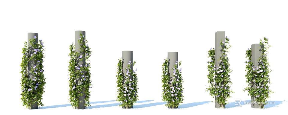 Climbing Vines With Green Leaves And White Flowers Growing On Gray Pillars 3d model 