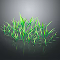 Fresh Lush Green Grass With Reflection On Dark Background Surface