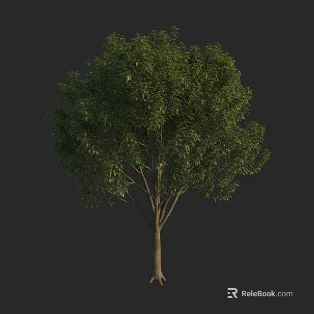 Lush Green Arbor with Dense Foliage and Strong Trunk in Natural Setting 3d model 
