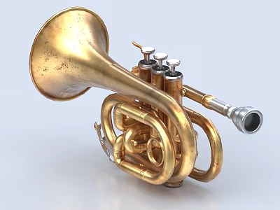 Golden Brass Trumpet Musical Instrument With Shiny Finish And Valves 3d model