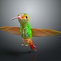 Bird Red Throat Hummingbird Hummingbird Birds Bird Animal Game Animal Cartoon Animal 3d model