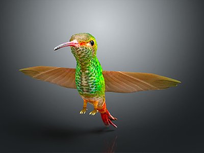 Bird Red Throat Hummingbird Birds Bird Animal Game Animal Cartoon Animal 3d model