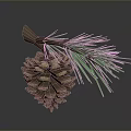 Natural Decorative Pine Cone With Green Needles For Home Decoration 3d model