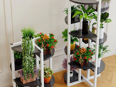 Bonsai Potted Plants On Indoor Multi tiered White Black Shelves With Various Green Flowering Plants 3d model