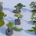 Various Bonsai Trees With Different Styles Stone Bases And Curved Branches 3d model