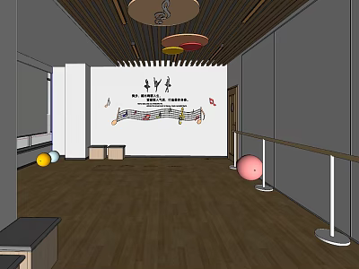 Dance Fitness Training Studio With Wooden Floor Colorful Exercise Balls And Barres 3d model