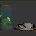 Glass Jar With Gold Lid Containing Green Glowing Elements Strainer And Brown Box